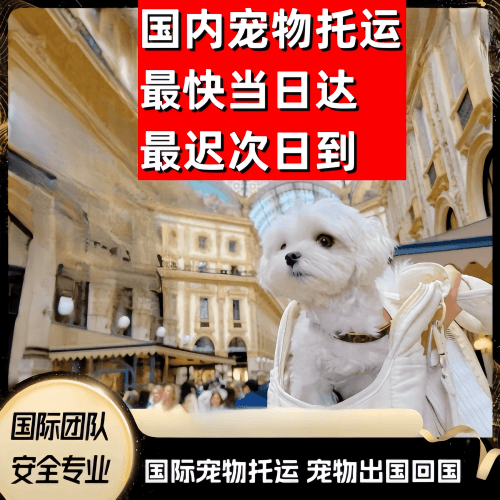 临沂市到澳大利亚（澳洲）宠物入境规定和要求