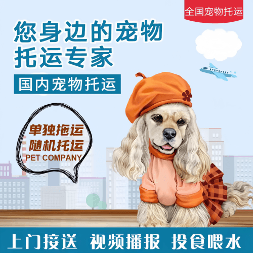 满财临沂市宠物全球达宠物托运作为专业的宠物运输代理机构